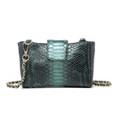 China Wholesale Fashion Snakeskin Women Shoulder Phone Bags Fashion Ladies Python Chain PU Cross - Body Bags For Saudi Arabia for sale