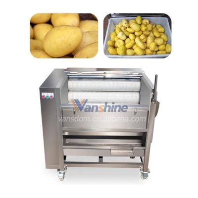 China High Quality Stainless Steel Vegetable and Fruit Brush Washing Machine For High Quality|Sweep Vegetable Roller Washer And Peeler Machine for sale