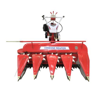 China rice paddy harvester price in india crawler hot sale maize harvester for sale