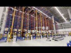 Max 3500kg Pallet Automatic Racking System AS-RS Stacker With Double Column