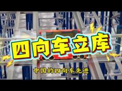 Normal Environment Dense ASRS 4 Way Shuttle For Small Pallet Automatic Racking System
