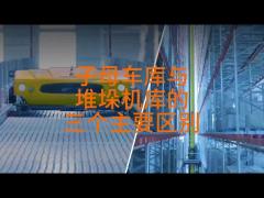 Max 3500kg Pallet Automatic Racking System AS-RS Stacker With Double Column