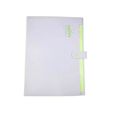 China Office School Folder PP EXPANDING FOLDER For A4 Documants Matt PP Button Closure 12 Pockets Expense Folder Flap for sale