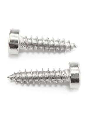 China Pan Head Stainless Steel Screws Corrosion Resistant Phillips Head Screw Customized for sale