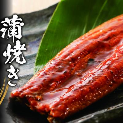 China Low Sugar OEM Wholesale Customize High Quality Packing Frozen Conger Eel Sushi Japanese Unagi Japanese Kabayaki Sauced Grilled River Roasted Eel for sale