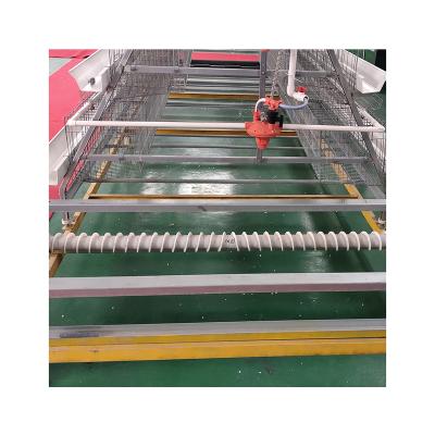 China Farms Hot Dip Galvanized Battery Installations Automatic Poultry Equipment Layer Cage for sale