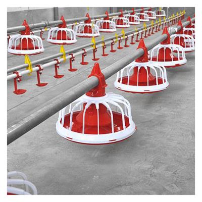 China Save Breeding Cost Automatic Raising Broiler Floor System Poultry Feeding Equipment for sale