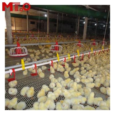 China Floor Low Cost Feeding System Design Dedicated To High Production Poultry Farming for sale