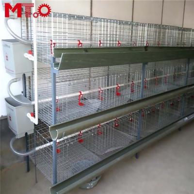 China Save Labor Factory To Supply Automatic Hot Galvanized Chicken Battery Automatic Farm Equipment Poultry Boiler Cage for sale