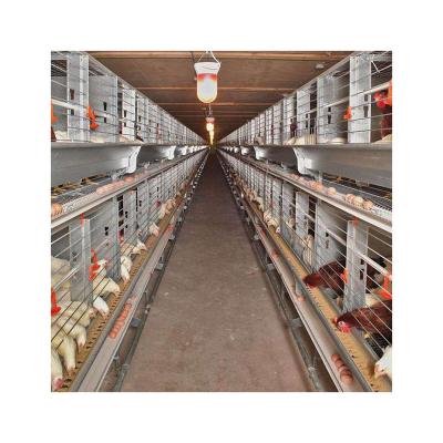 China Farm Cage Poultry Farm Chicken Farm Machinery Layer Cage 4 Rows Feature H Type Cages Multi Cags for sale