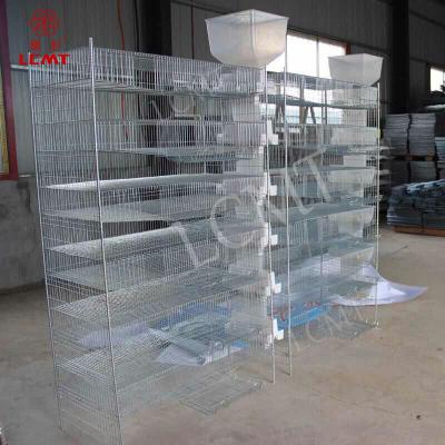 China Automatic farms hot sale H type 5 row quail layer battery cage for sale for sale