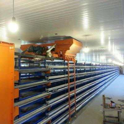 China China Professional Manual Professional Custom Automatic Egg Collection Quail Cage For Quail Poultry Farm for sale