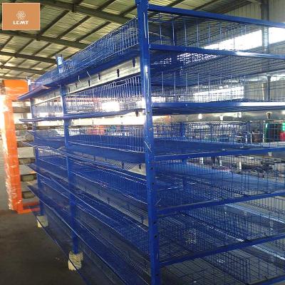 China Farms 2019 new design energy saving automatic quail battery cages for sale for sale