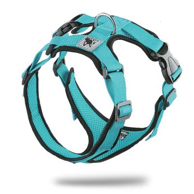 China Light Weight Color Heat Dissipation Mesh Dog Harness Padded Reflective Breathable Adjustable Soft Dog Collar for sale