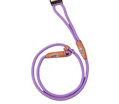 China 2021 Viable Dog Collar And Leash Set P Dog Leash Nylon Chain Dog Training Leash for sale