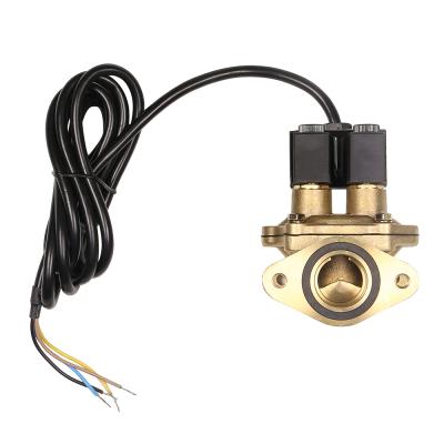 China High Flow 220v Solenoid Valve For Mini Fuel Dispenser Flow Meter for sale