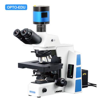 China Opto Edu M12.5850 Biological Motorized Microscope Bf Xyz zu verkaufen