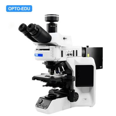 China Opto Edu A16.2243 Microscópio de fluorescência Sistema óptico acromático de plano infinito à venda