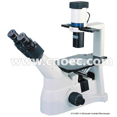 Chine Microscopes optiques IlluminationA14.0901 critique de microscope inversés par Trinocular d'infini à vendre