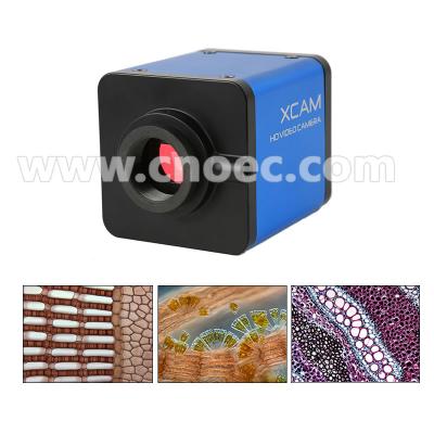 China La cámara/VGA de COMS hizo salir los accesorios A59.2217 del microscopio de la cámara del microscopio de Digitaces en venta