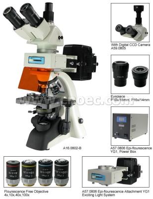 Chine Microscope de Trinocular de fluorescence, 40X - microscopes de composé de 1600X A16.0802 à vendre