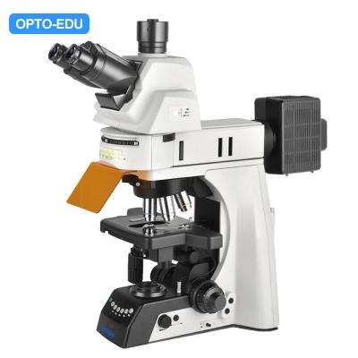 Cina OPTO auto dritta dei semi del microscopio di luce fluorescente di EDU A16.1093-L Trinocular LED in vendita