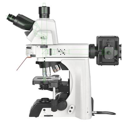 Cina OPTO auto dritta dei semi del microscopio di luce fluorescente di EDU A16.1093-L Trinocular LED in vendita