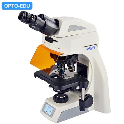 China OPTO EDU A16.1062 Infinity Binocular Trinocular Led Fluorescent Microscope BG for sale