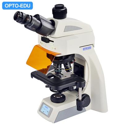 Chine L'infini OPTO Trinocular binoculaire d'EDU A16.1062 a mené le microscope fluorescent BG à vendre