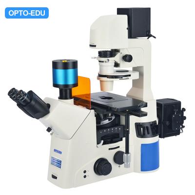 China Opto Touch Screen Edu A16.1097 Lcd Fluoreszenz Stereomicroscope zu verkaufen