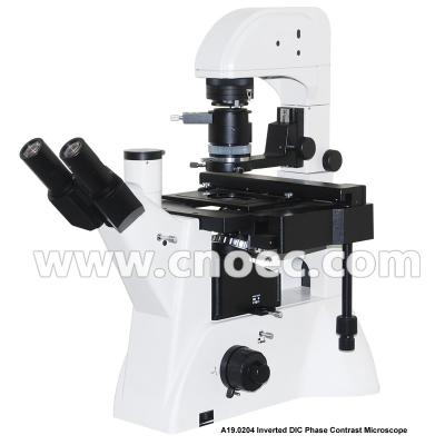 China Campo brilhante invertido Trinocular A19.0204 do microscópio DIC do contraste da fase da infinidade à venda