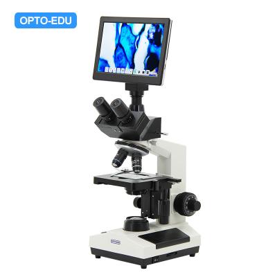 Cina studente Biological Microscope A33.1009 di 1600x Trinocular con il condensatore N.A.1.25 in vendita