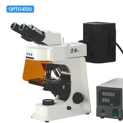 China OPTO-EDU A16.2601-B2 Leuchtstoffmikroskop, binokular, B/G zu verkaufen