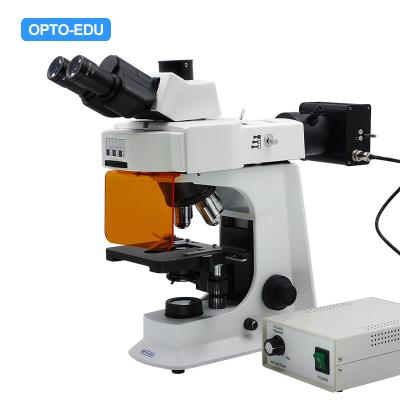 China OPTO-EDU A16.2601 40x - Fluoreszenz-Mikroskop 1000x LED Trinocular für Forschung/das Lernen zu verkaufen