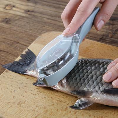 China Sustainable Kitchen Tools Kitchen Gadgets Fish Skin Remover , Best Selling Kitchen Aid Fish Scale Remover for sale