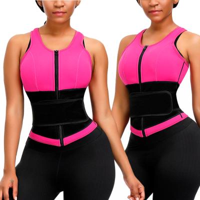 China 2019 Antibacterial Soft and Comfortable Sweat Shaper Women Waist Trainer Breathable Vest Zipper Design Waist Trainer for sale