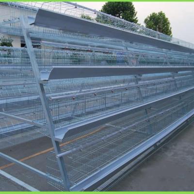 China Farms Hot Sale Galvanized Automatic Chicken Cages Layer Poultry For Farm Equipment for sale