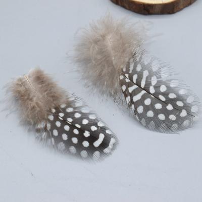 China China Wholesale Decoration Dyed Pearl Pheasant / Chicken Spotted Feather Guinea Fowl Natural Feathers For DIY Crafts for sale