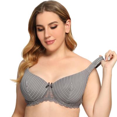 China Antibacterial Light Lined Wide Padded Straps Bar Plus Size T-shirt Bra Full Cup Ladies Bra For Women for sale