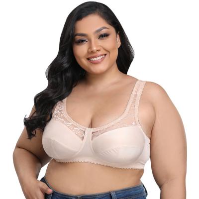 China Antibacterial wide lace ties radio plus size bra black and nude color full cups women's sexy bra for sale