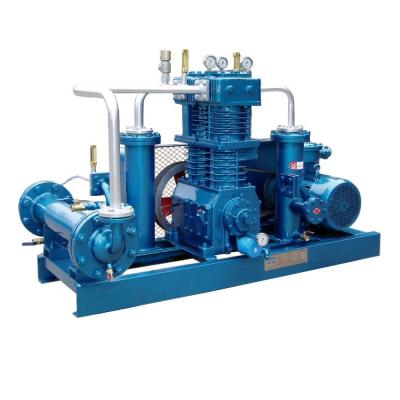 China High Quality OIL-LESS Air Compressor Machinery Gas Station Compressor for sale