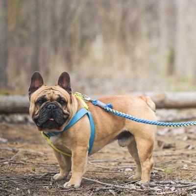 China Custom Adjustable 100% Cotton Soft Pet Dog Harness With Chest Strap For Outdoor Easy Walking for sale