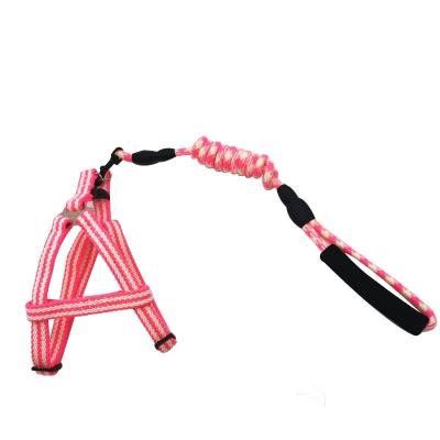 China Padded Prevent Break Free Safe And Reliable Automatic Retractable Pet Leash Rope for sale