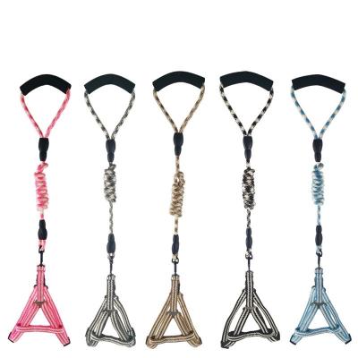 China Good Padded Design Prevent Free Cutting Pet Collars Safe And Reliable Leashes for sale