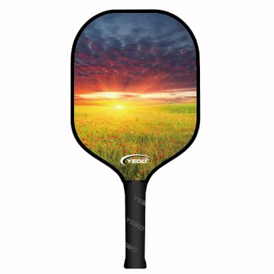 China fashion outdoor pickleball/colorful funny pickleball racket pickleball paddle manufacture YD-JP25 for sale