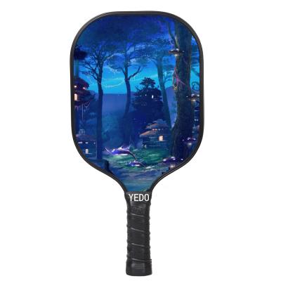 China OEM Pickeball Paddle / JP25 Indoor Outdoor Fiberglass Pickleball Paddle Mini Carbon Fiber for sale