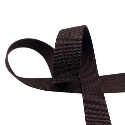 China High quality high gloss 36 tenacity imitation polyester nylon webbing for clothing web band for sale