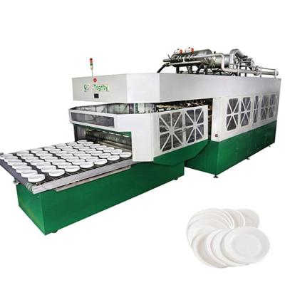 China Factory Low Investment High Profit Business Automatic Paper Plate Making Machine for sale