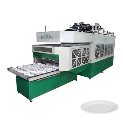 China Factory Disposable Biodegradable Sugar Cane Bagasse Pulp Molding Tableware Lunch Box Making Machine Production Line for sale