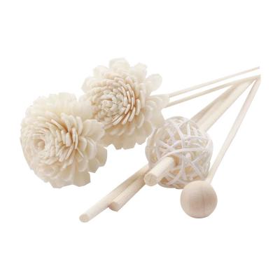 China New Type Eco - Friendly Handmade Sola Wooden Flower With Reed Stick for sale